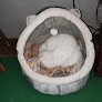 Negocio Clínica Veterinaria El León Dormido