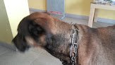 Negocio Clínica Veterinaria El Molinar
