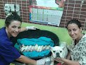 Negocio Clínica Veterinaria En Almeria | Panda Veterinario