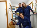 Negocio Clínica Veterinaria Es Pla - Porreres