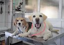 Negocio Clínica Veterinaria Escaleritas