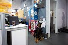 Negocio Clínica Veterinaria Eusebio Llorente Mena