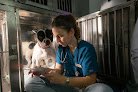 Negocio Clínica Veterinaria Fitovet