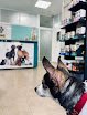 Negocio Clínica Veterinaria Huellas