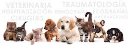 Negocio Clínica Veterinaria Inca