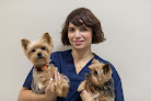 Negocio Clinica Veterinaria Kerry Blue