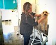 Negocio Clínica Veterinaria La Estación
