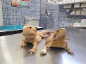Negocio Clínica Veterinaria La Granja