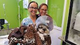 Negocio Clinica Veterinaria La Minilla