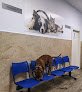 Negocio Clínica Veterinaria La Unión