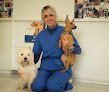 Clínica Veterinaria La Vega Veterinario 24 Horas Salamanca
