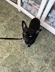 Negocio Clínica Veterinaria Labrit
