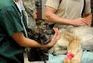 Negocio Clínica Veterinaria Leioa