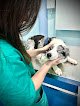 Negocio Clínica Veterinaria Llanesvet