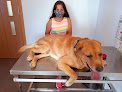 Negocio Clínica Veterinaria Los Pinos
