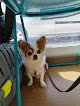 Negocio Clínica Veterinaria Málaga