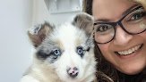 Negocio Clinica Veterinaria Mascotiti, Urgencias 24 Horas