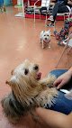 Negocio Clínica Veterinaria Miguel Ángel Vilas