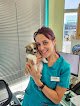 Clínica Veterinaria Montevil | Mivet