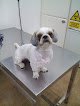 Negocio Clínica Veterinaria Montuïri | Mivet