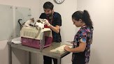 Negocio Clínica Veterinaria Monvet