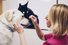 Negocio Clínica Veterinaria Navascues