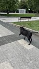 Clínica Veterinaria Nueva Santa Bárbara