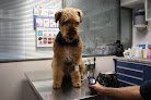 Negocio Clinica Veterinaria Plaiaundi