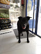 Clínica Veterinaria Prada
