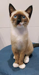 Clínica Veterinaria Pumarín