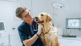 Negocio Clínica Veterinaria Quisquivet