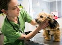 Negocio Clínica Veterinaria Ruiz Y Menta