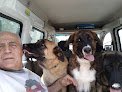 Clínica Veterinaria Salinero
