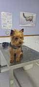 Negocio Clínica Veterinaria San Antón