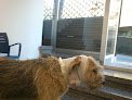 Clinica Veterinaria San Fernando, Palma De Mallorca