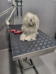 Negocio Clínica Veterinaria San Francisco