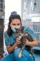 Negocio Clínica Veterinaria San Jorge