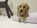 Negocio Clinica Veterinaria Sania