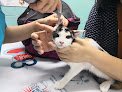 Negocio Clínica Veterinària Sant Mori | Mivet