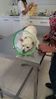 Negocio Clínica Veterinaria Santa Ana