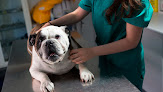 Negocio Clínica Veterinaria Santa Elena