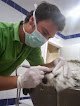 Negocio Clinica Veterinaria Santiago Martínez