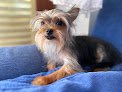 Negocio Clínica Veterinaria S'arenal