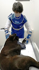 Negocio Clínica Veterinaria Saro