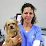 Negocio Clínica Veterinària Son Ferrer C.b.