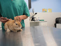 Negocio Clínica Veterinaria Sylvestralia