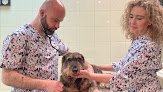 Negocio Clinica Veterinaria Villava Sl