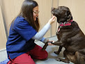 Clinica Veterinaria Viveros Urgencias 675371661