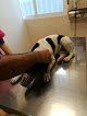 Negocio Clínica Veterinaria Wecan Aimar