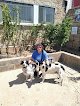 Negocio Clínica Veterinaria Y Peluquería Canina Guiralpet